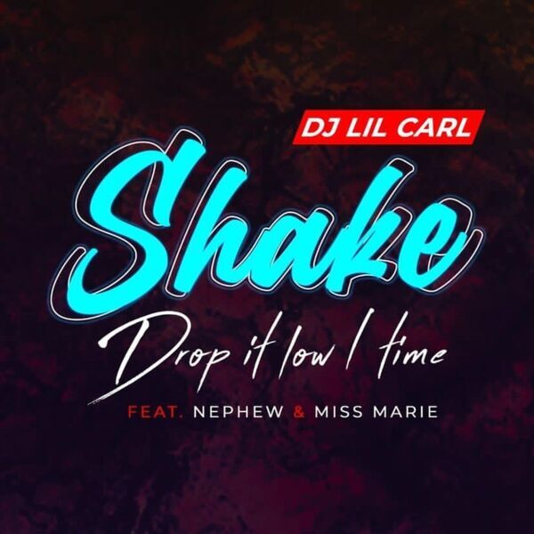 Cover art for Shake (Drop It Low 1 Time)