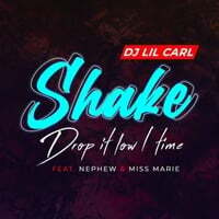 Shake (Drop It Low 1 Time)